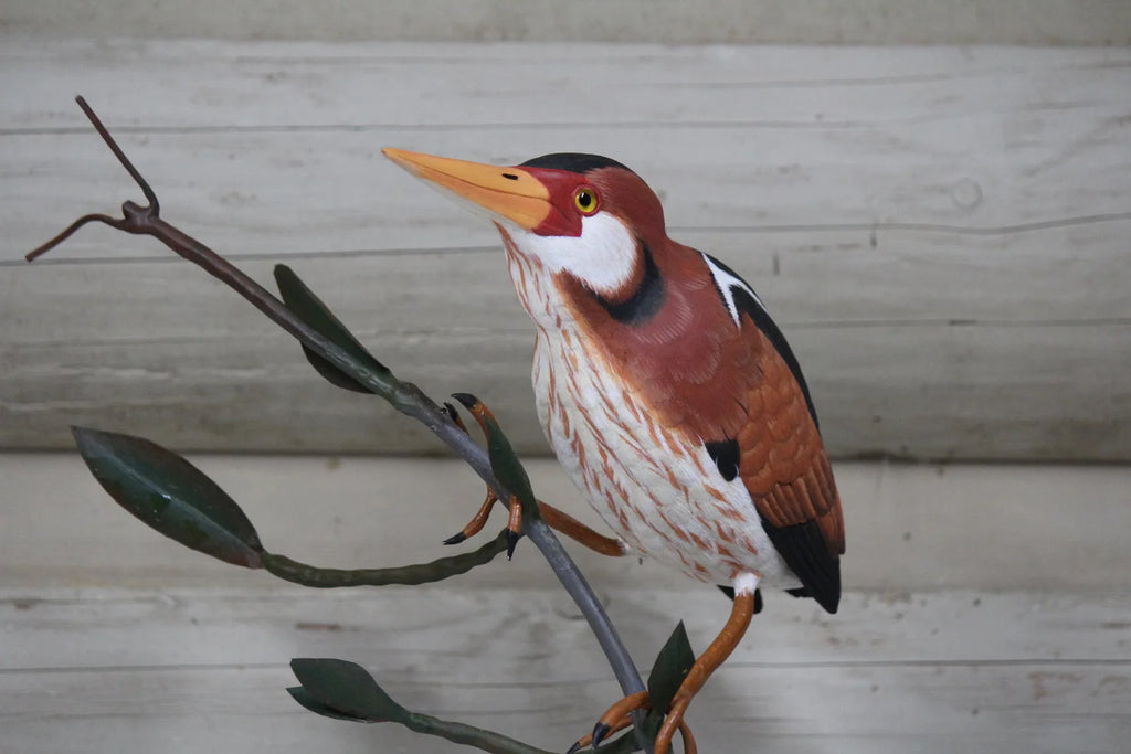 Least Bittern