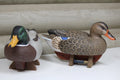 Mallards
