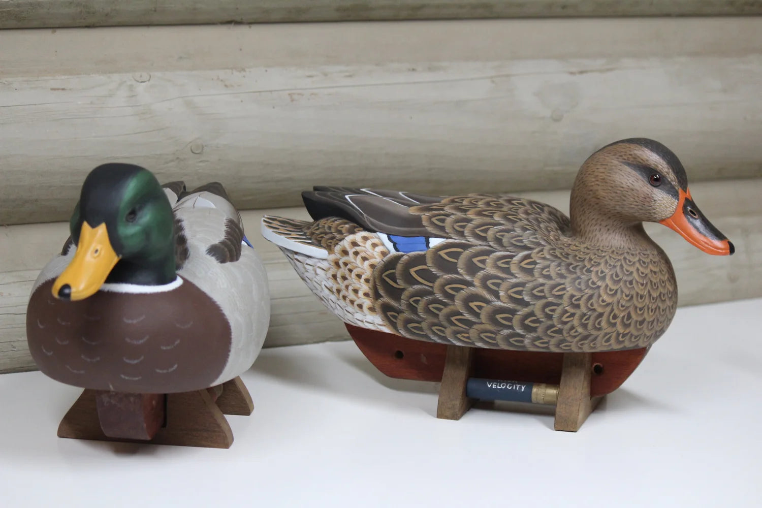 Mallards