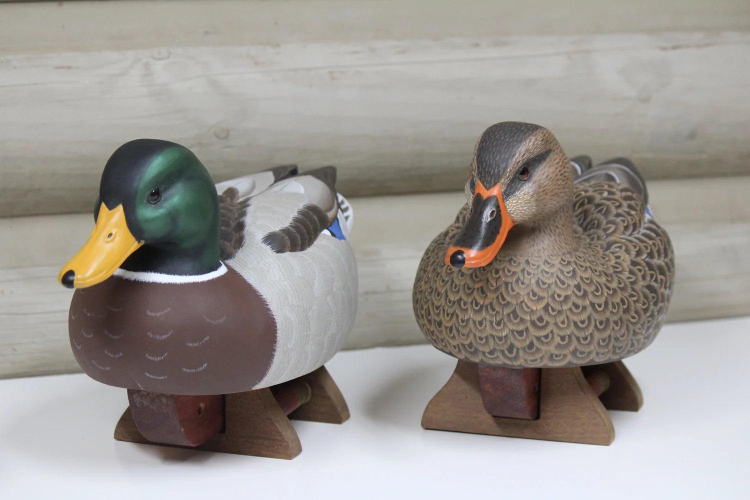 Mallards