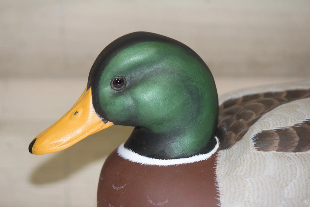 Mallards