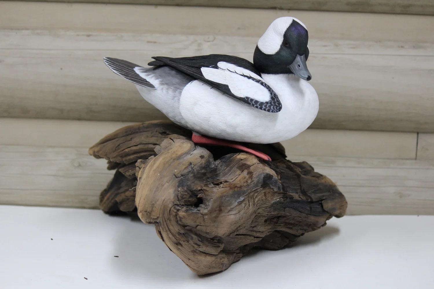 Bufflehead