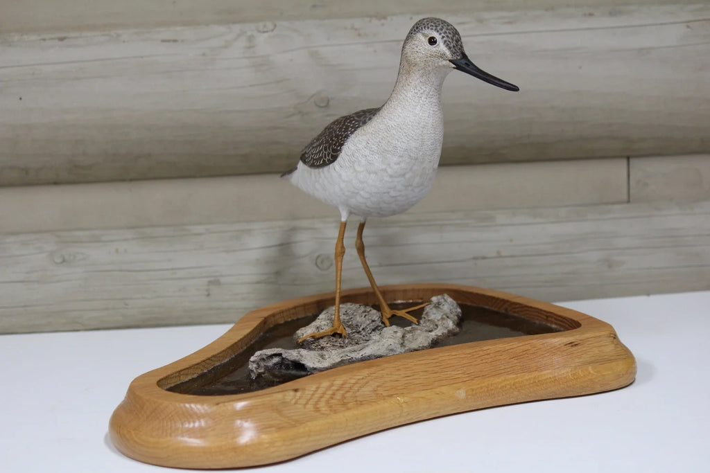 Greater Yellowlegs