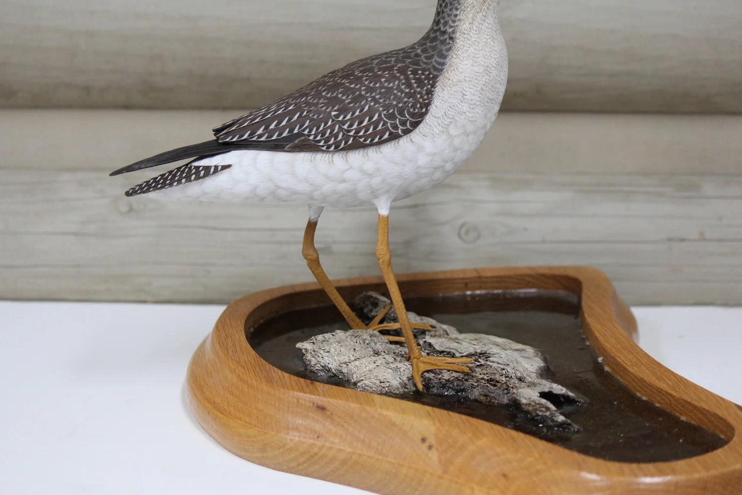 Greater Yellowlegs
