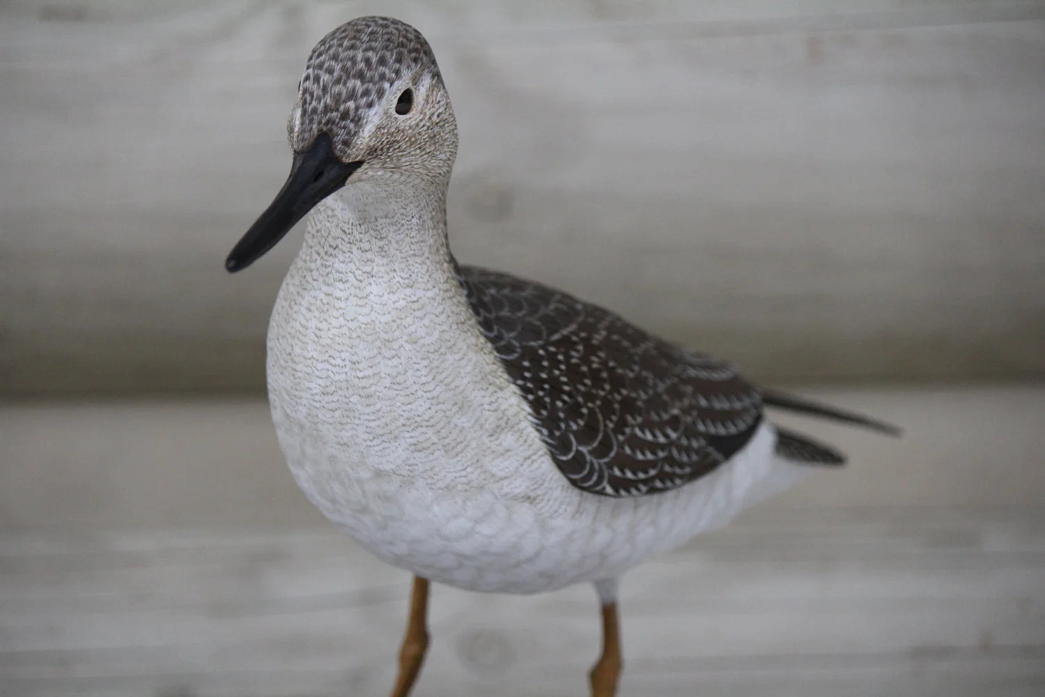 Greater Yellowlegs