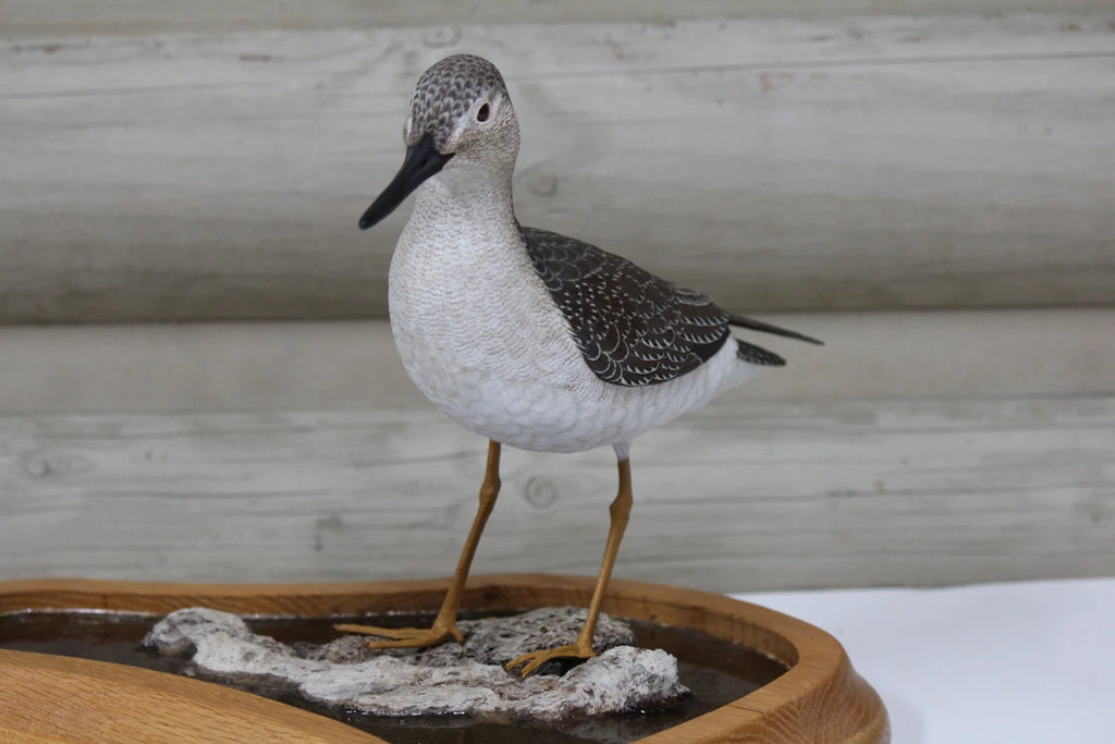 Greater Yellowlegs