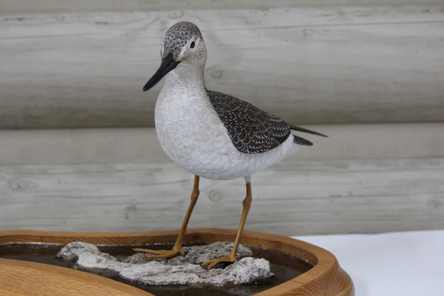 Greater Yellowlegs