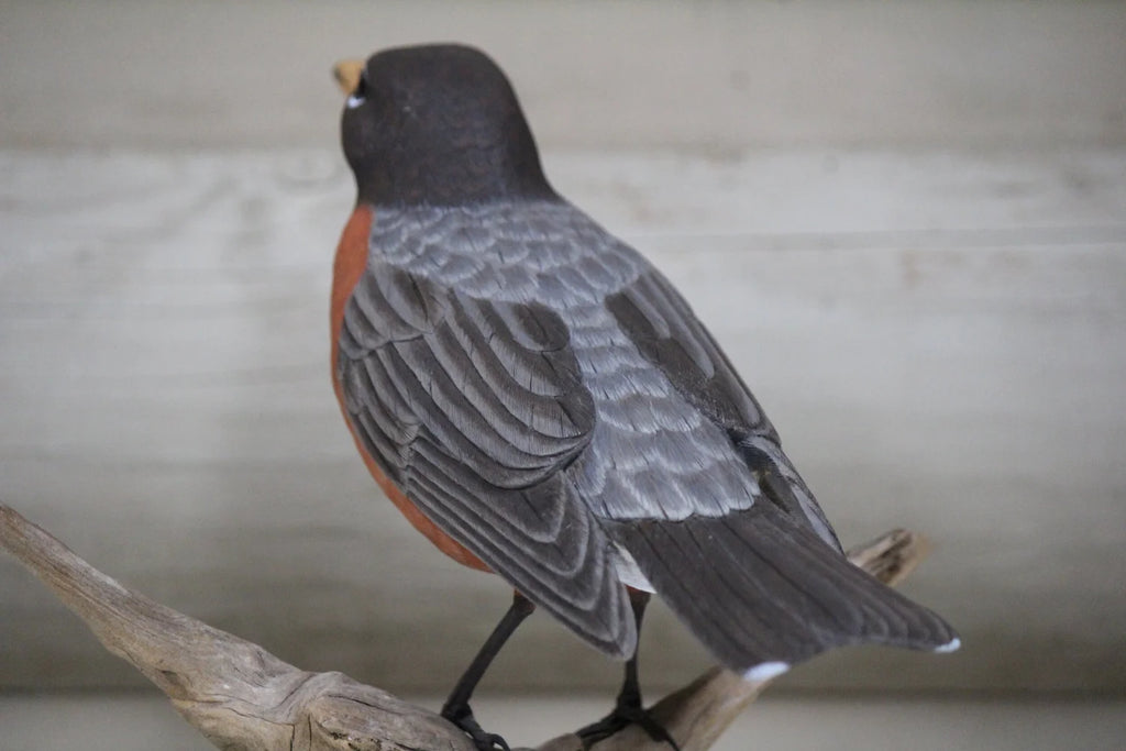 Robin