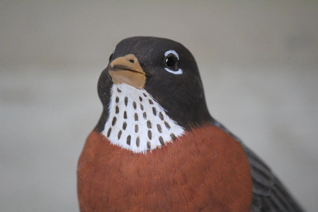 Robin