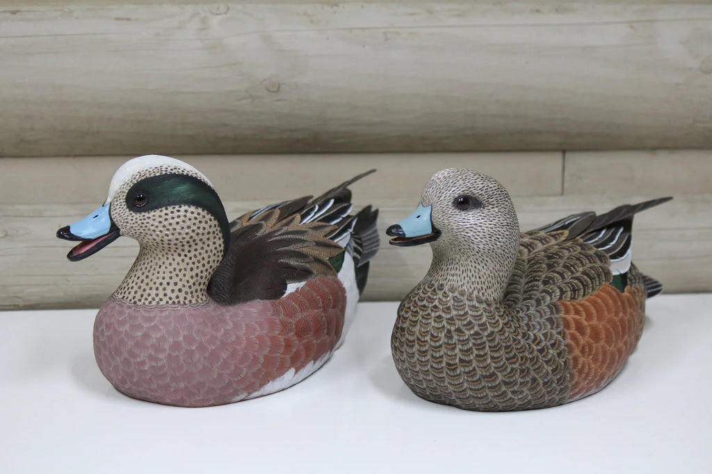 Widgeons