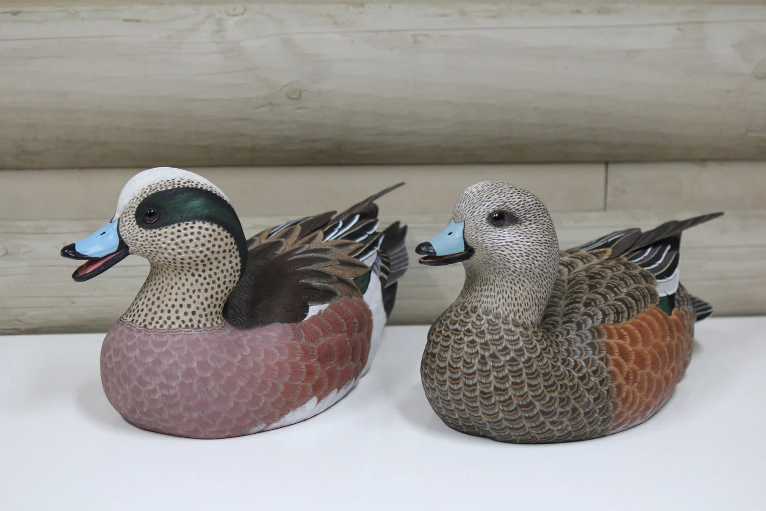 Widgeons