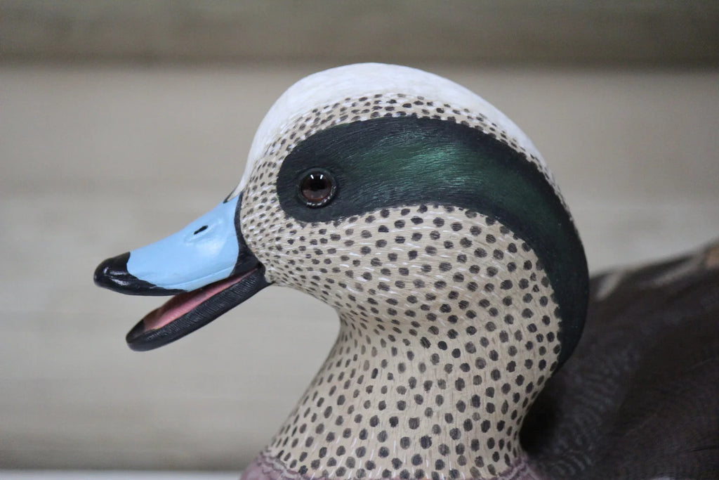 Widgeons