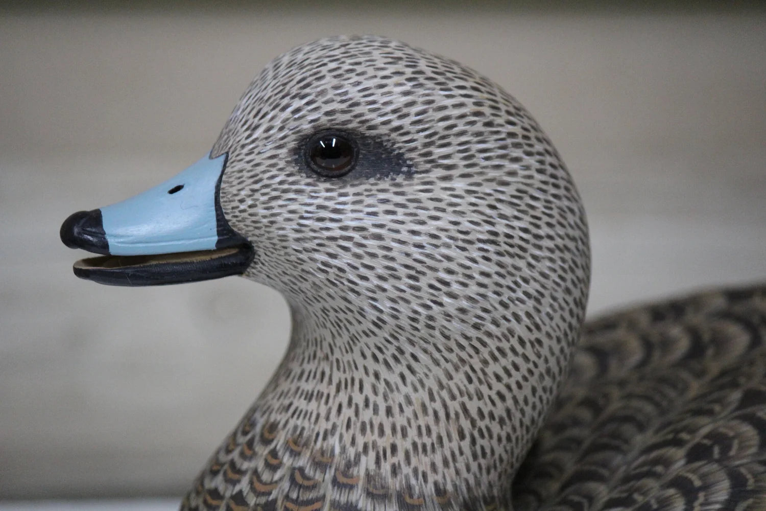 Widgeons