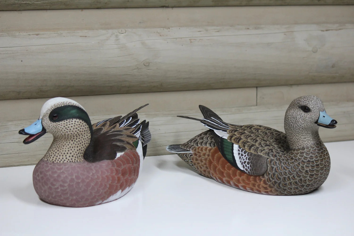 Widgeons