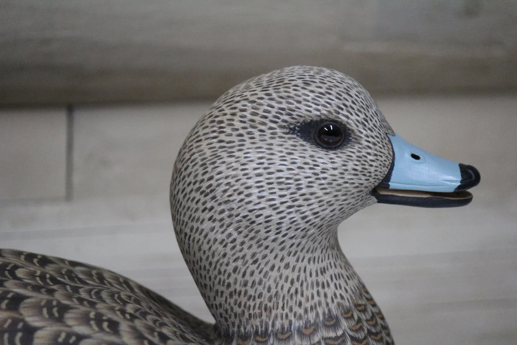 Widgeons