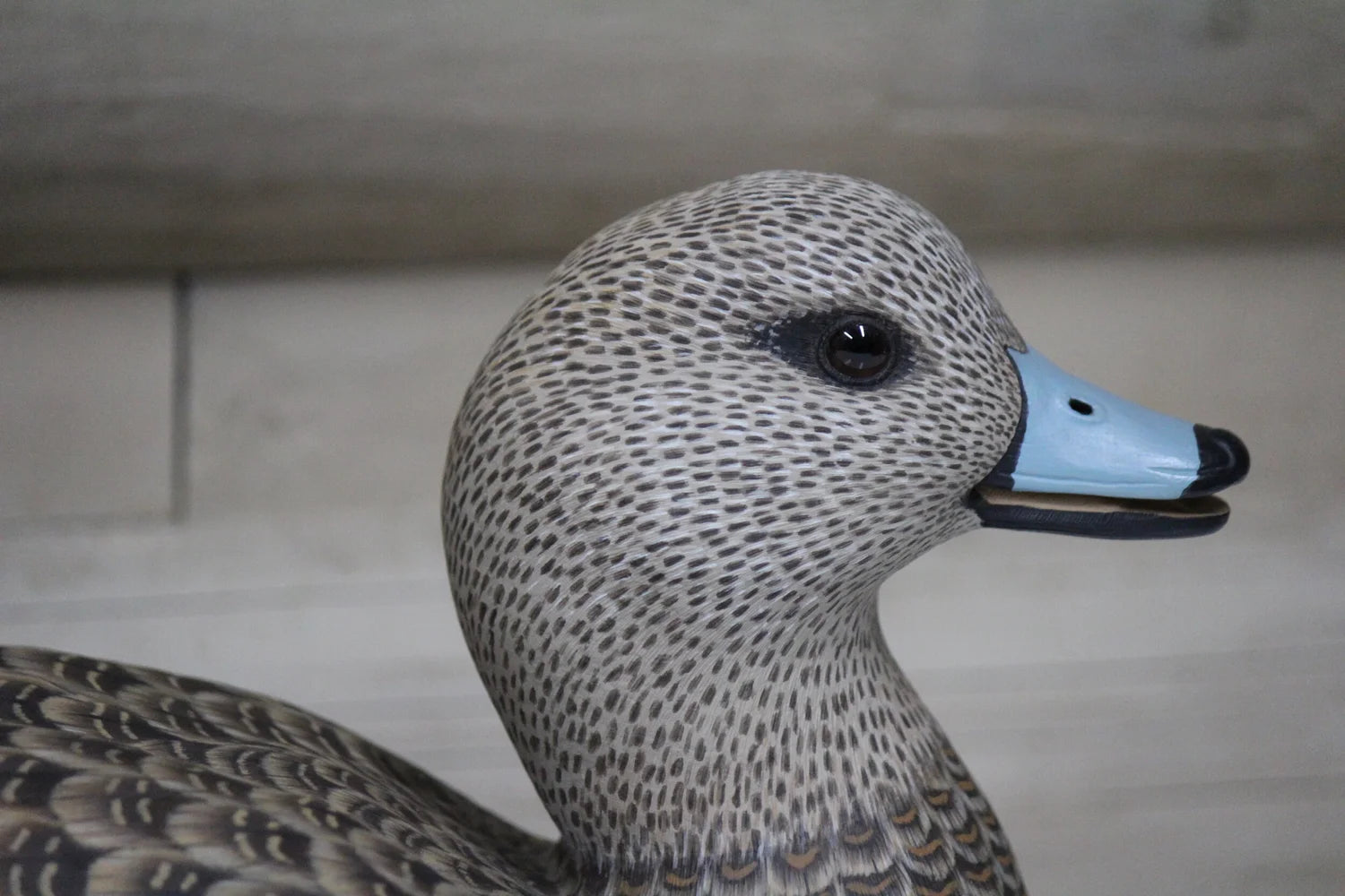 Widgeons