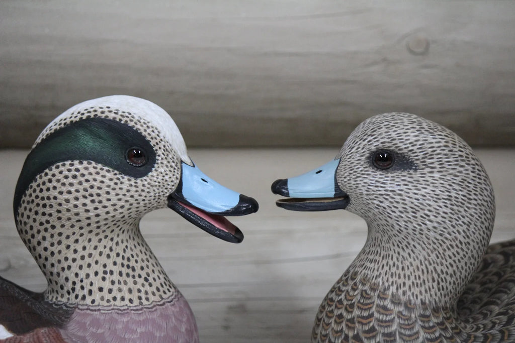 Widgeons