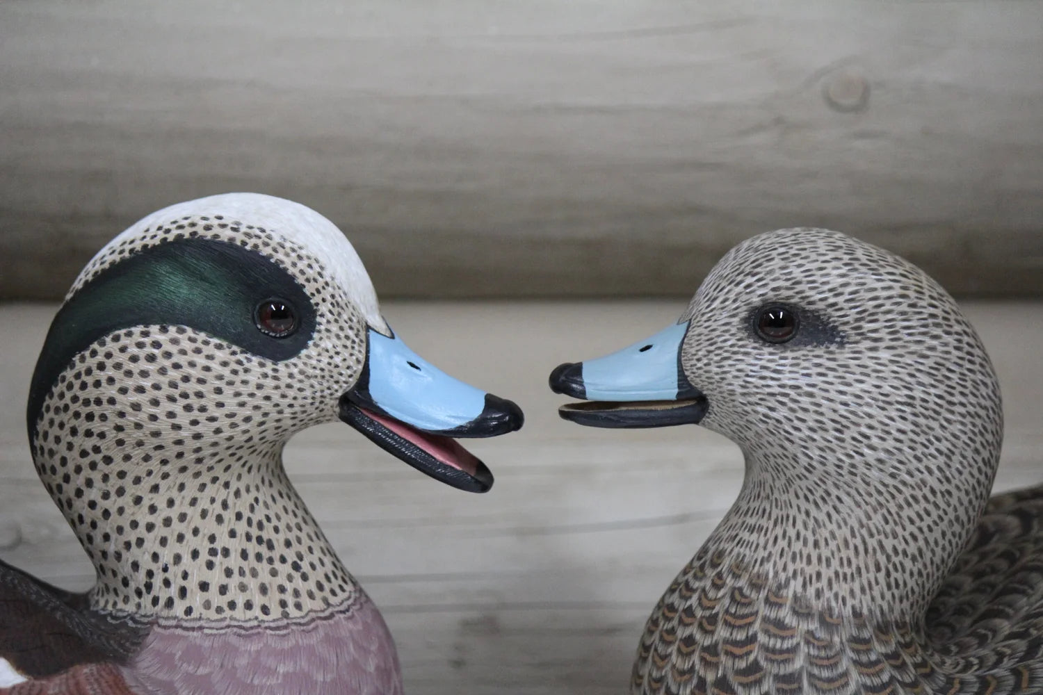 Widgeons