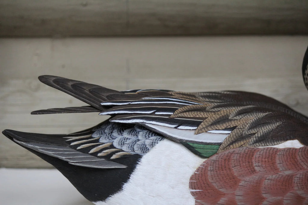 Widgeons
