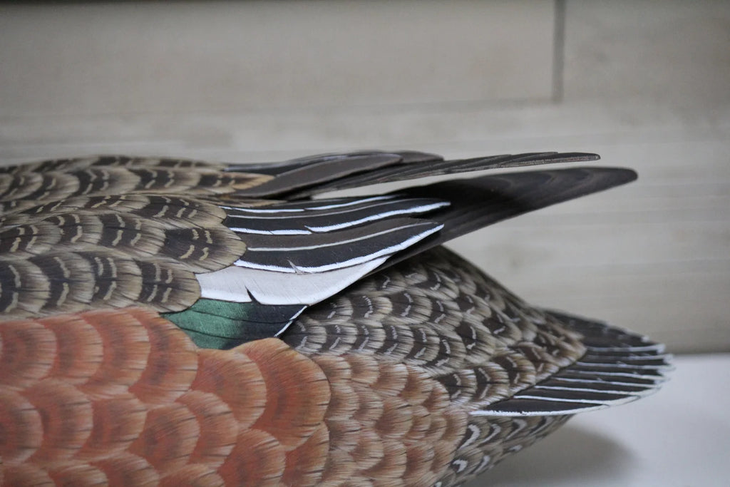 Widgeons