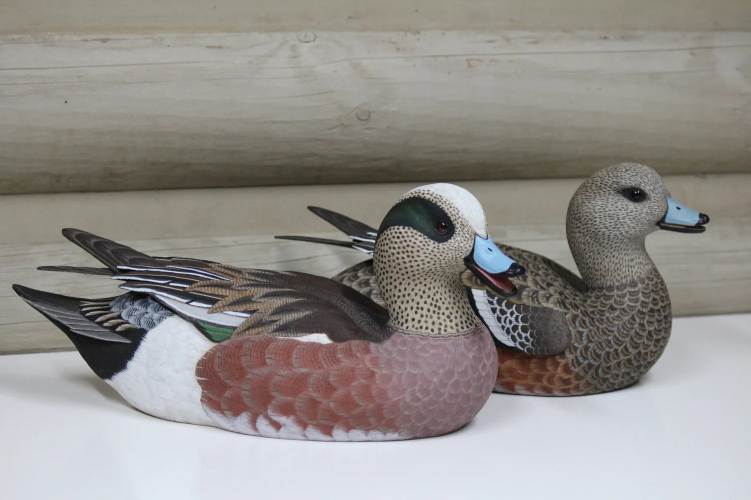 Widgeons