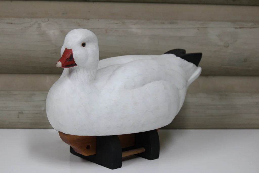 Ross's Goose
