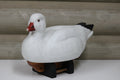 Ross's Goose
