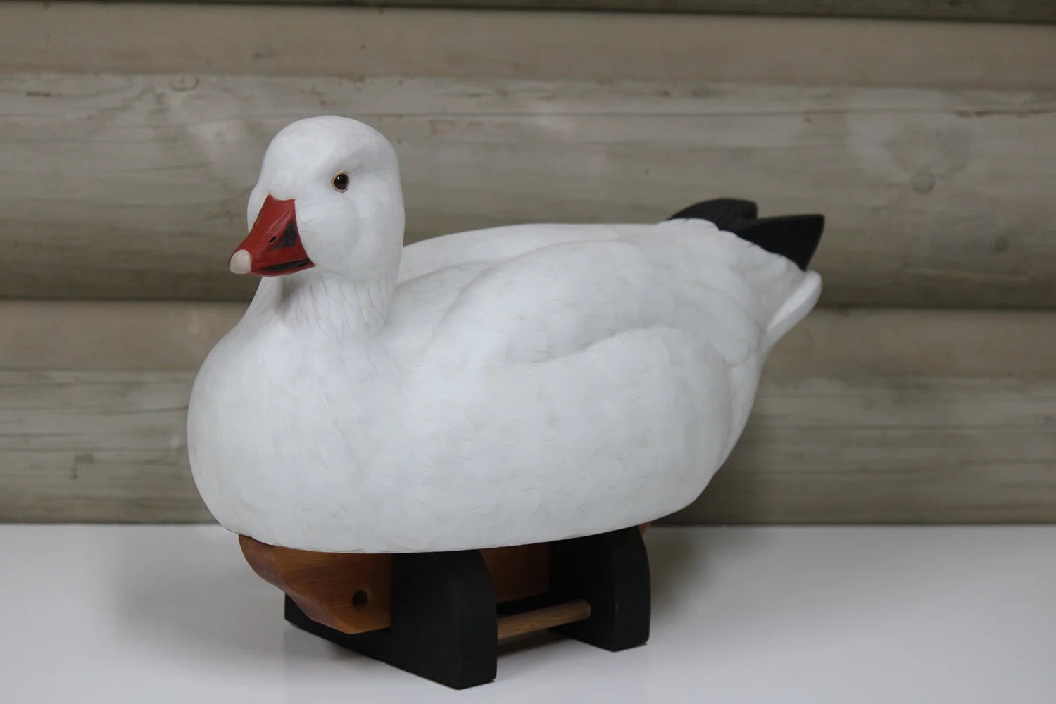 Ross's Goose