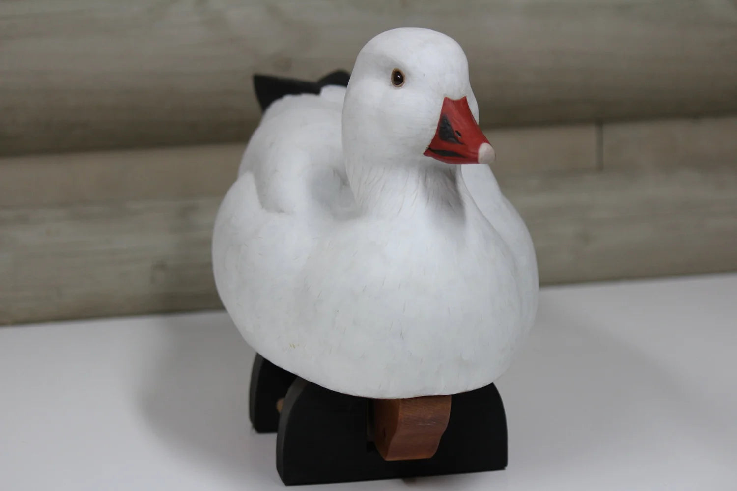 Ross's Goose