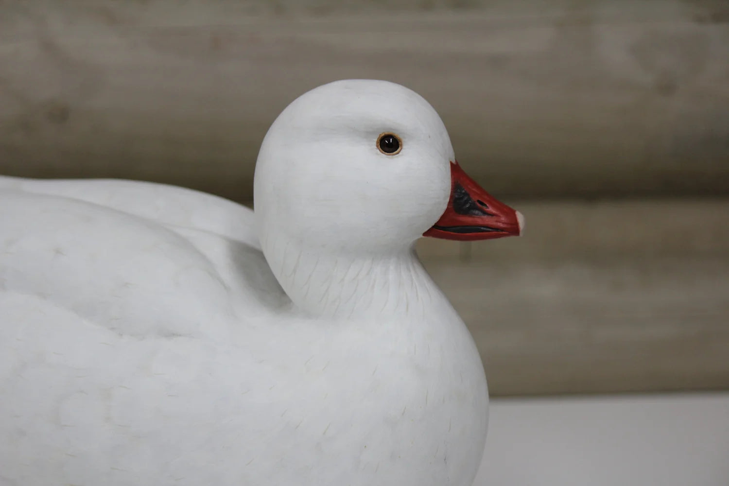 Ross's Goose