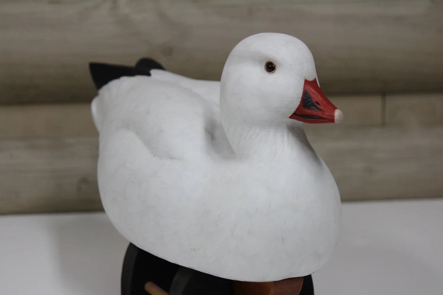 Ross's Goose