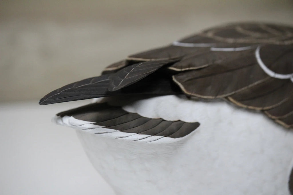 Cackling Goose