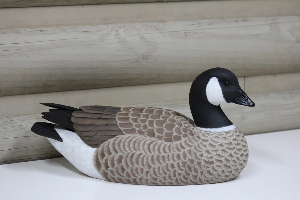 Cackling Goose