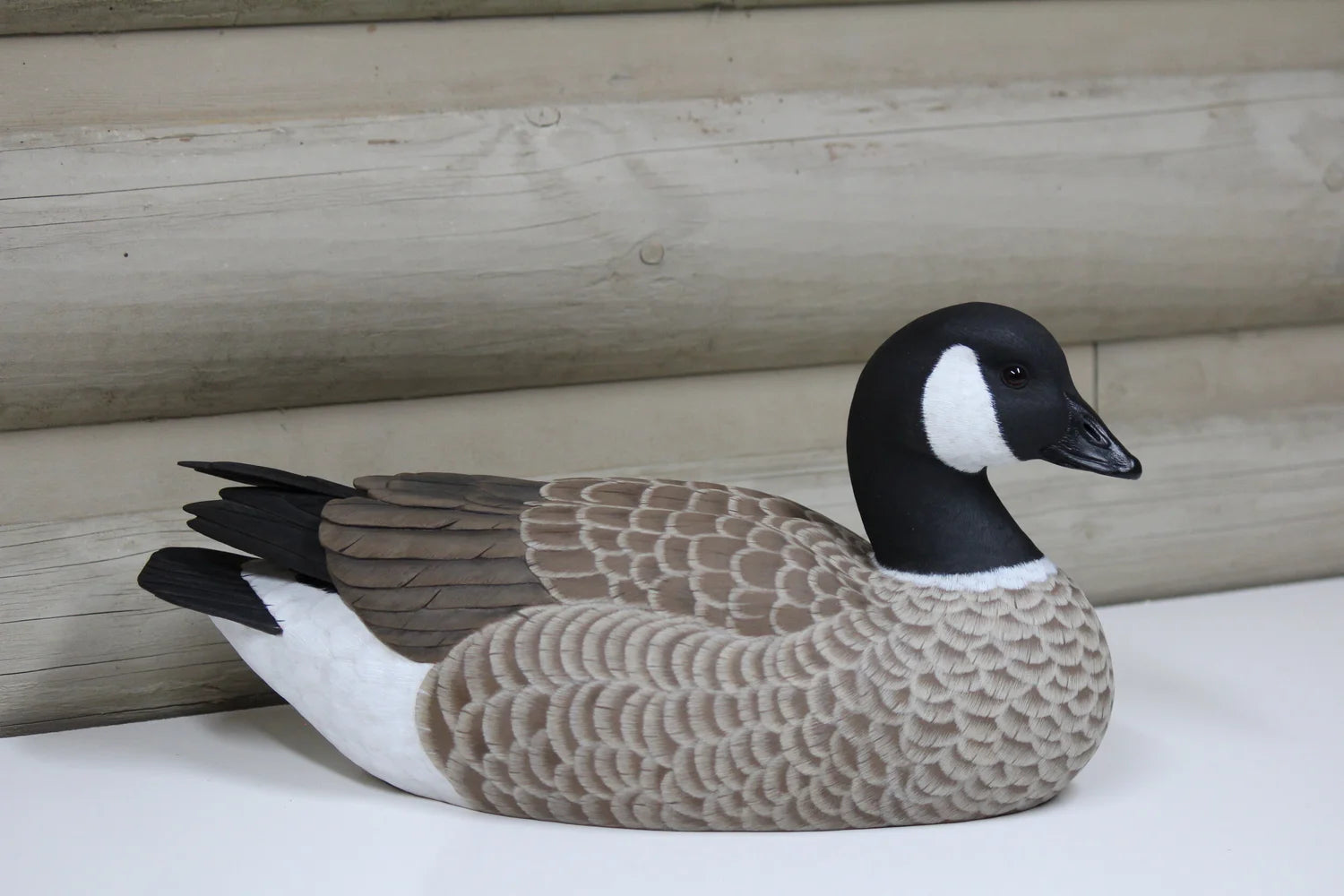 Cackling Goose