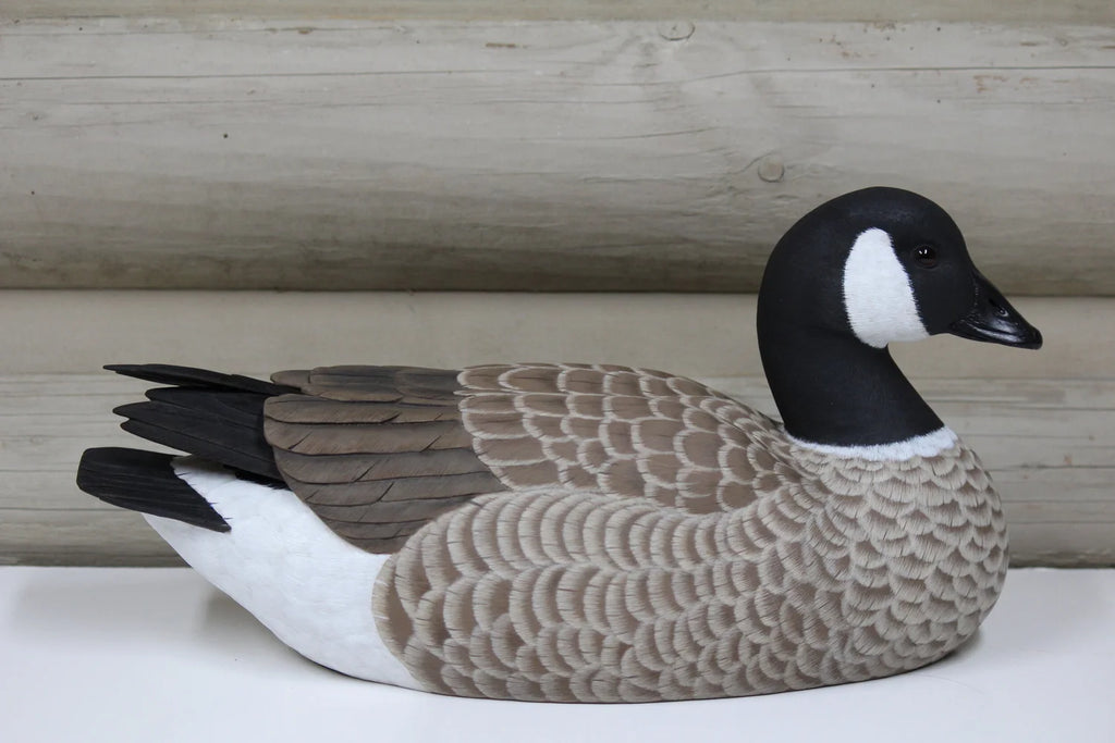 Cackling Goose