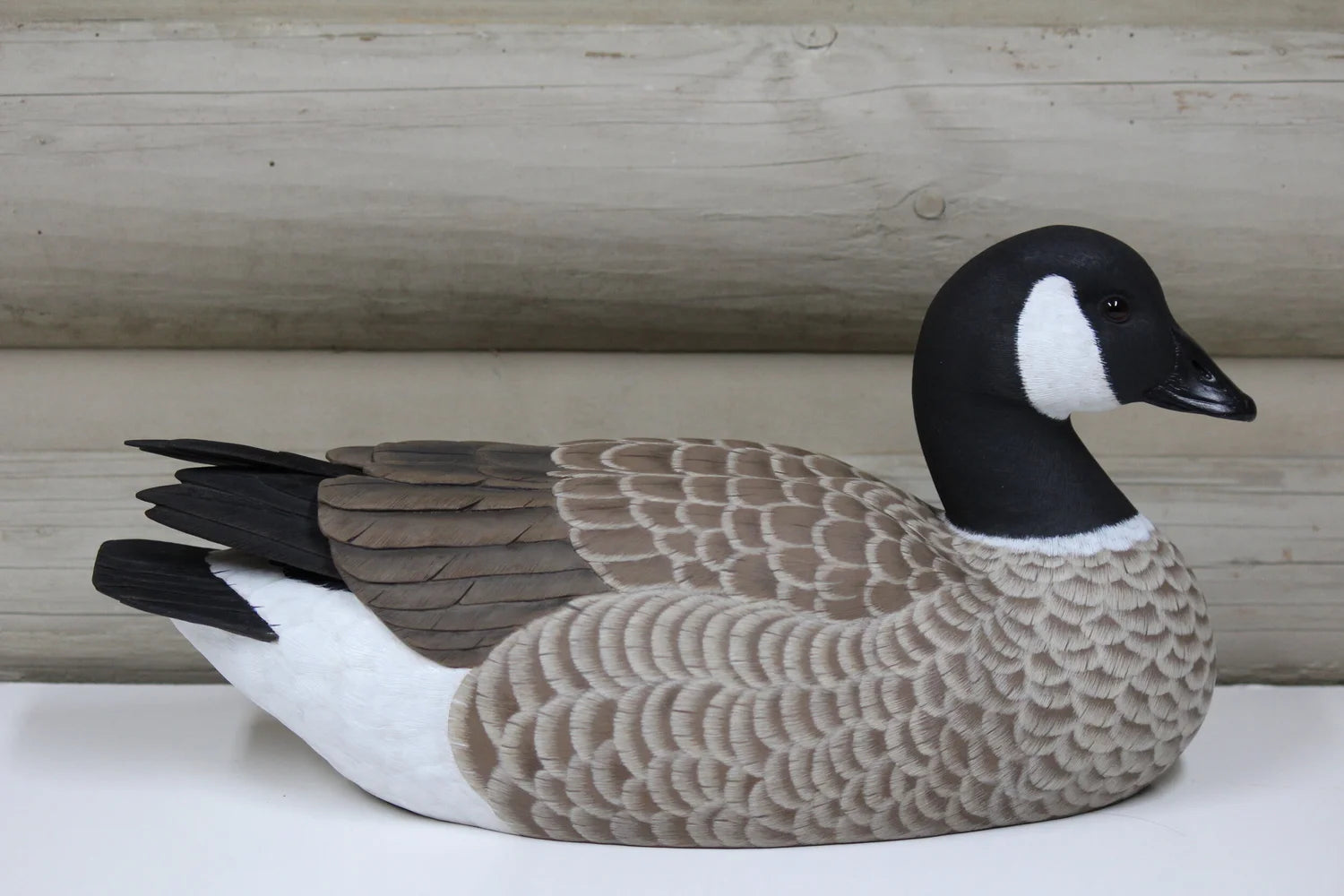 Cackling Goose