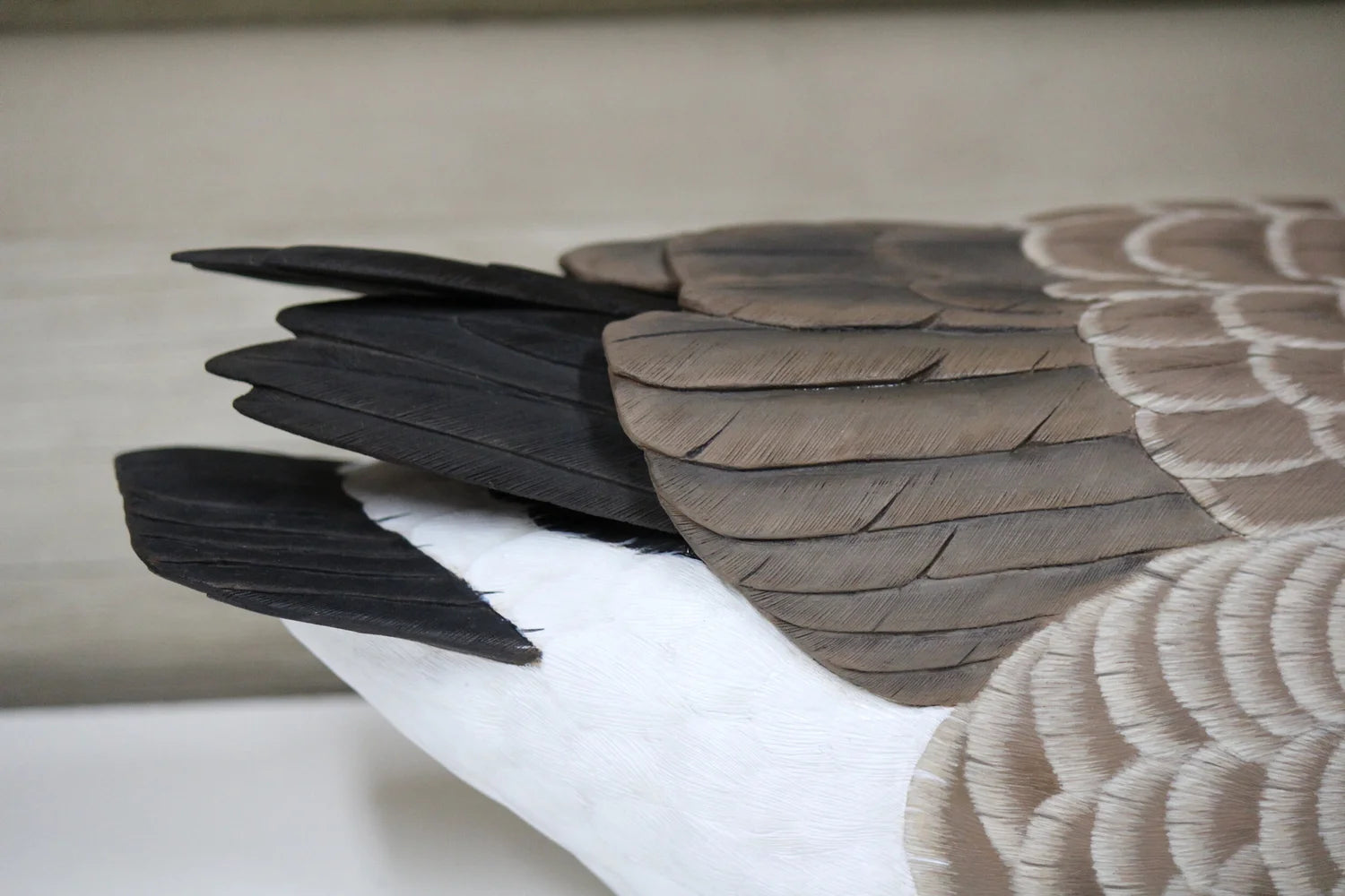Cackling Goose
