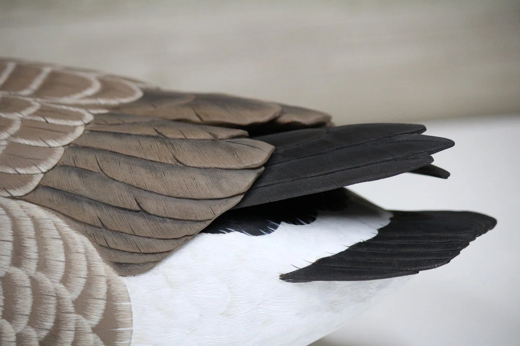 Cackling Goose