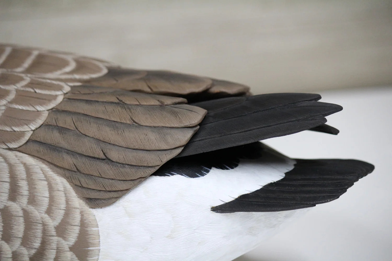 Cackling Goose