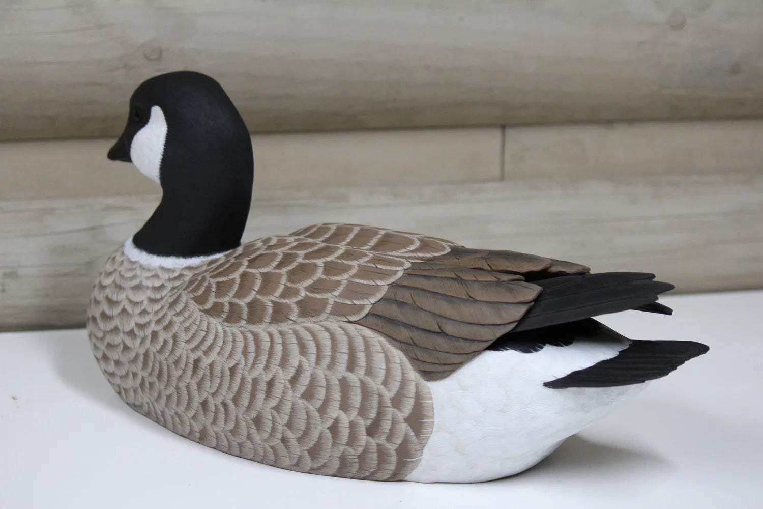 Cackling Goose