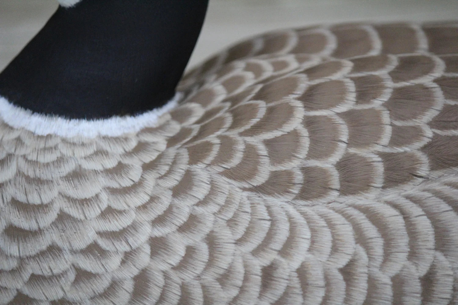 Cackling Goose