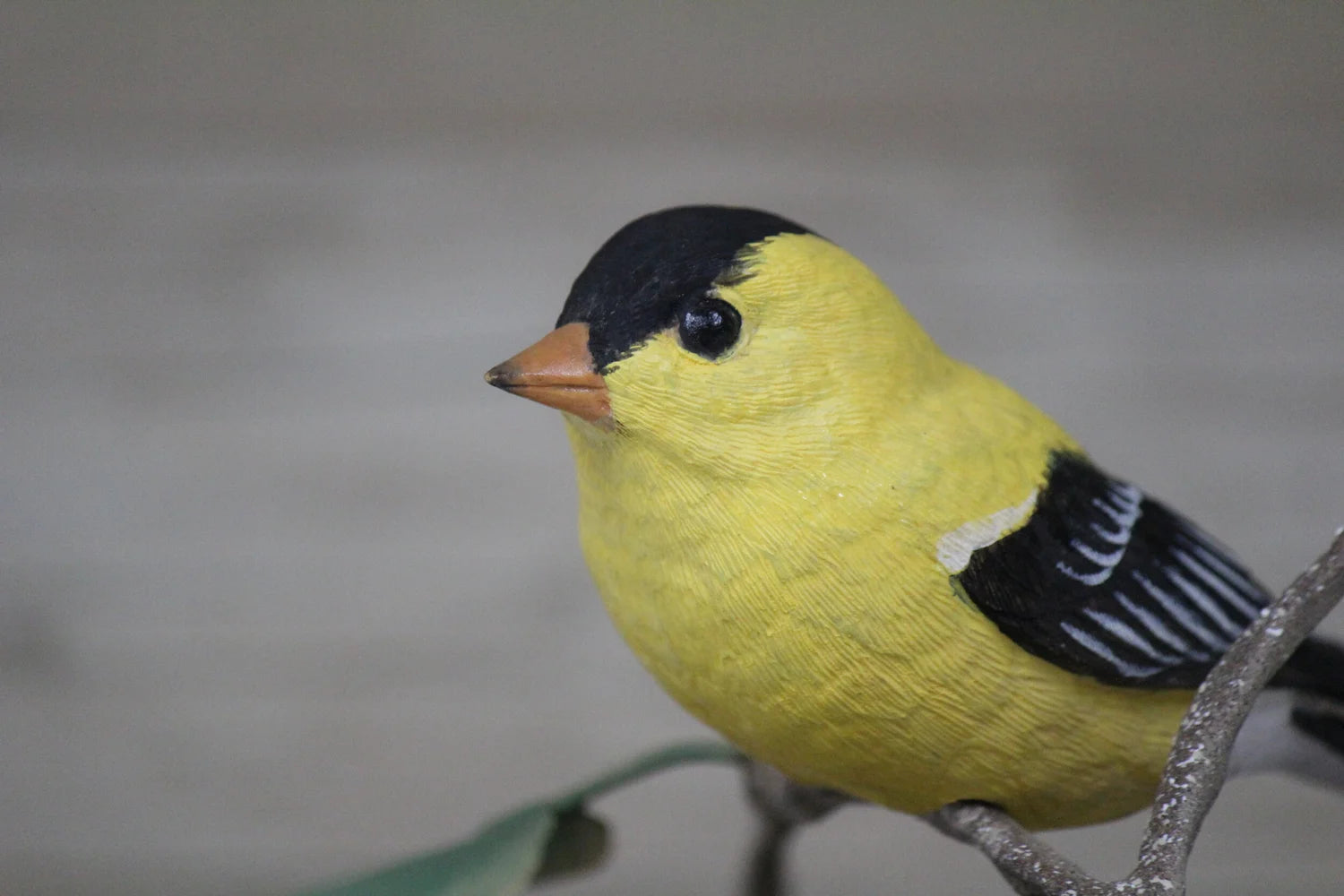 Goldfinch