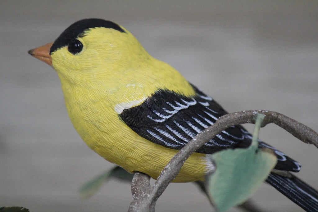 Goldfinch