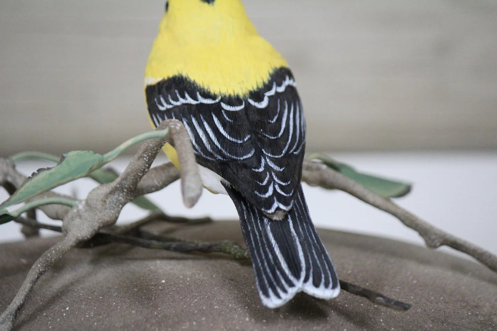 Goldfinch