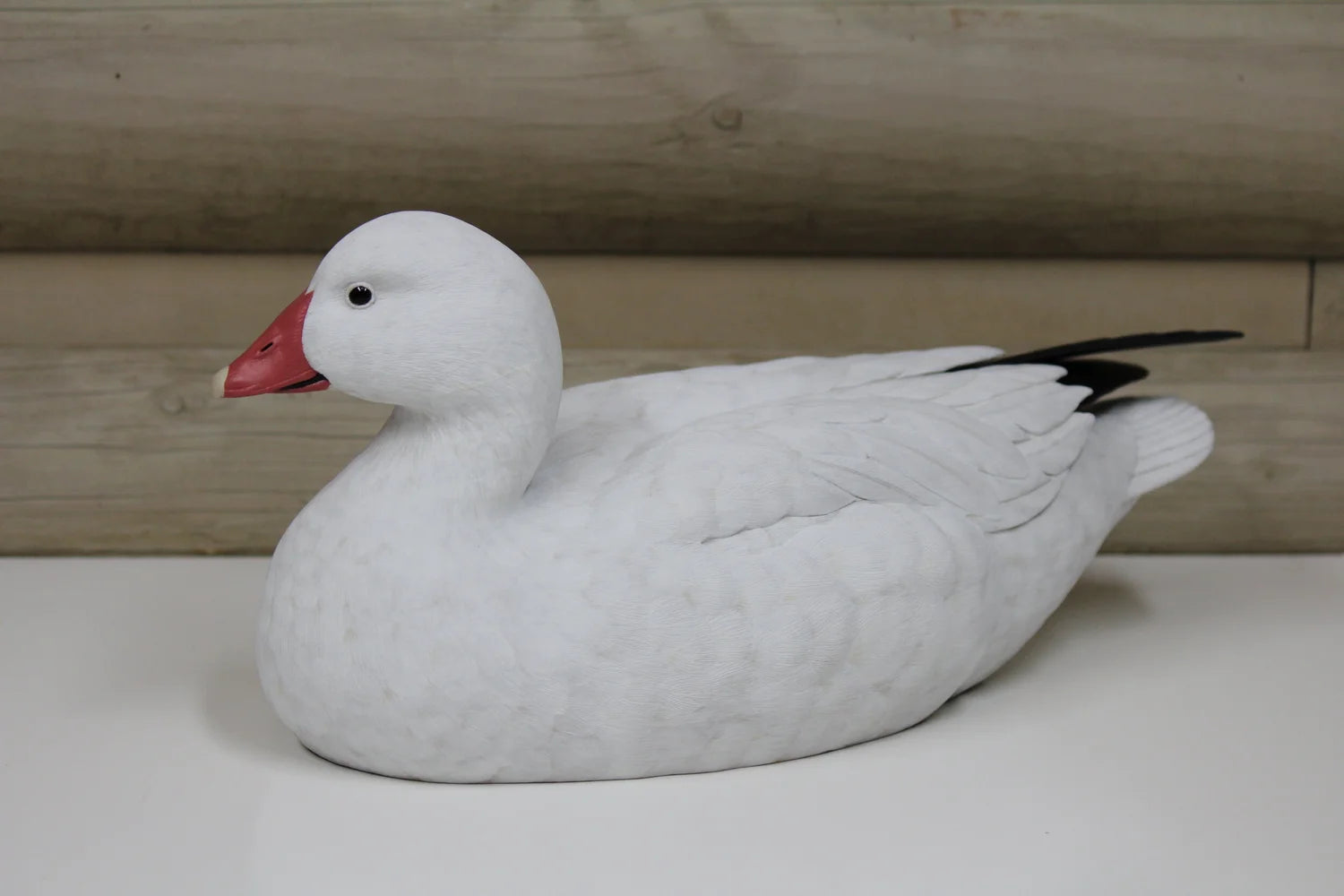 Ross's Goose