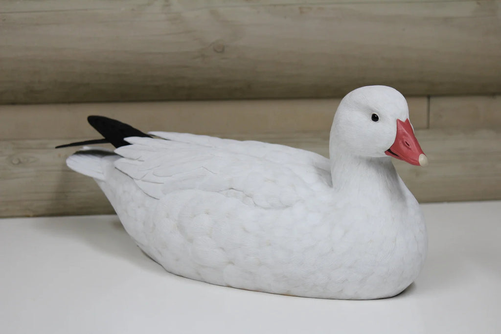 Ross's Goose