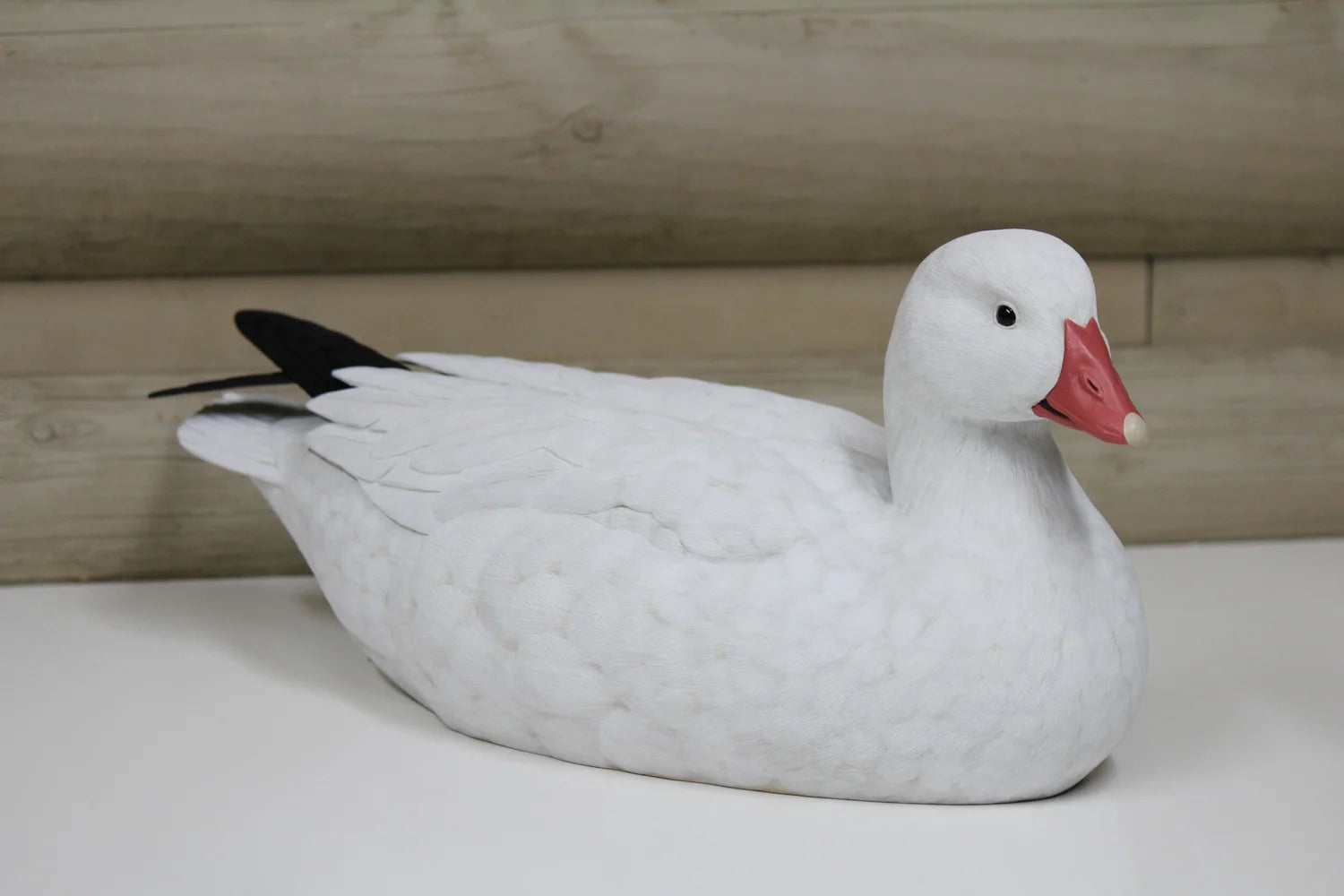 Ross's Goose