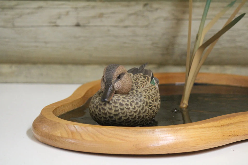 Green-winged Teals