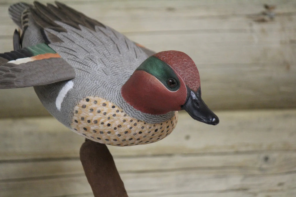 Green-winged Teals