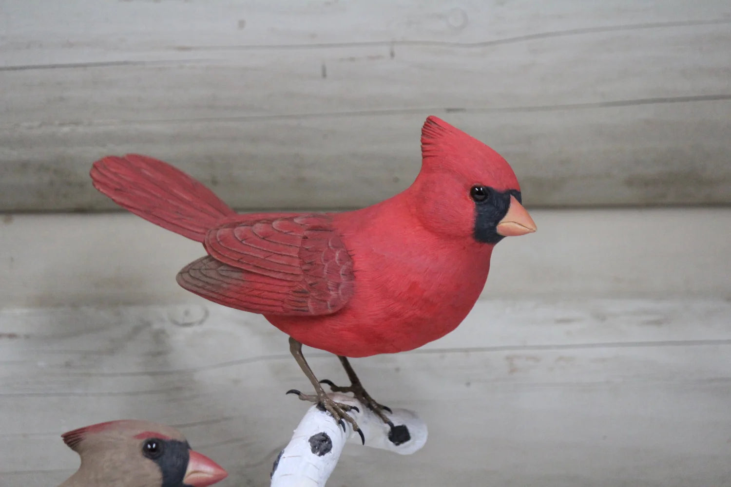 Cardinals